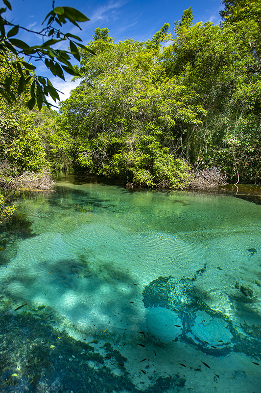 Bonito - Photo by Hudson Garcia (5)